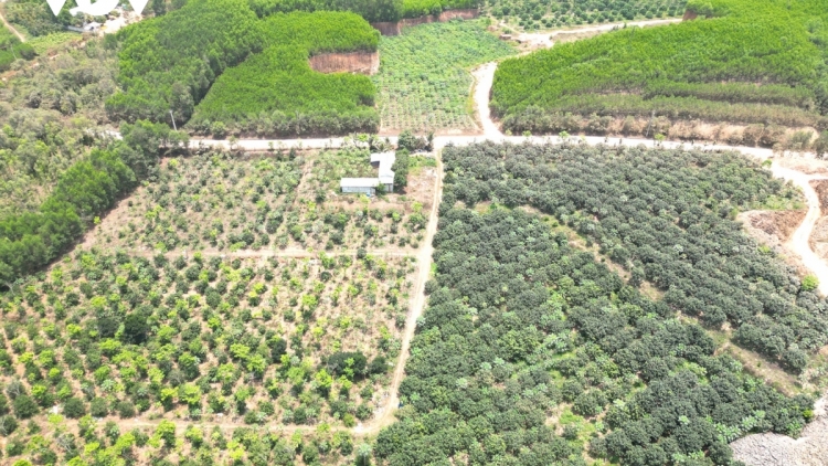 PA DƯR DAL CHR’NĂP CHR’NOH CHR’BÊỆT BÌNH ĐỊNH