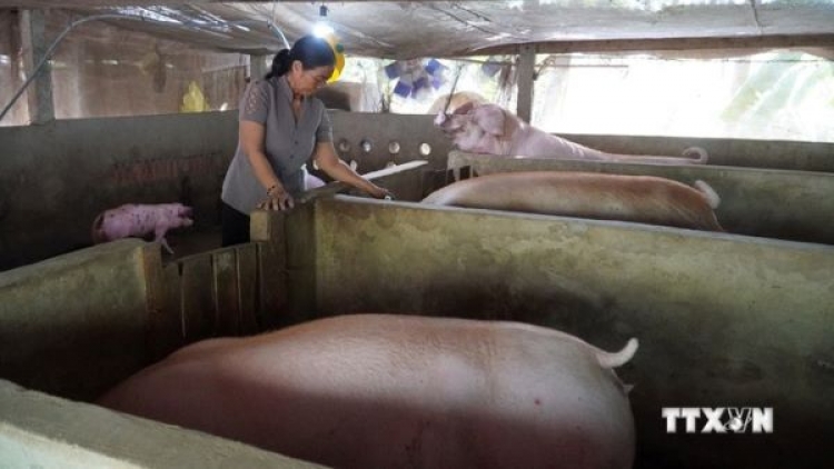 Kiên Giang: Hàng nghìn hộ Khmer thoát nghèo bền vững