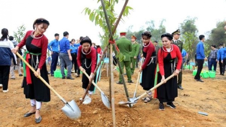 Tuyên Quang cán đích trước 1 năm Đề án trồng một tỷ cây xanh