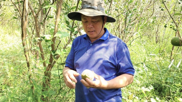 លោកបាតិន ស្រឡាញ់ដីព្រៃអ៊ូមិញយ៉ាងខ្លាំង