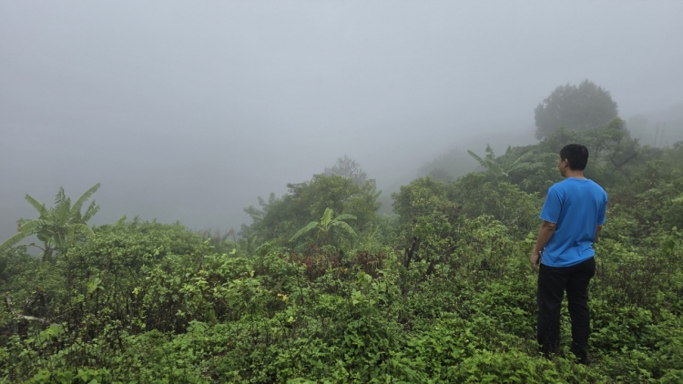 Phung mă bruă ti Anôk mđung asăp Hàm Rồng