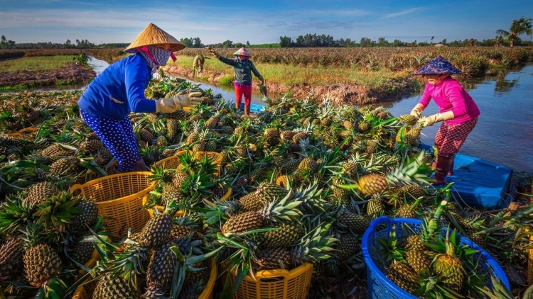 BHUM ĐỒNG THÁP MƯỜI, HUYỆN TÂN PHƯỚC, TỈNH TIỀN GIANG HU NGAK SALAH DOM ASAL KADHA PIAH LIKAU TRUNG ƯƠNG PASANG IEK  BREI ANGAN LAC HUYEN PALEI PALA BAHRAU