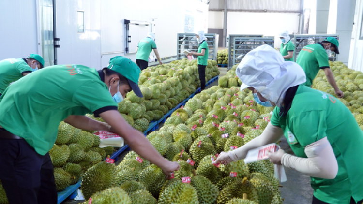 Tê tơmeăm pêi lo ing chiâk deăng ngi kong têa ê cho tơdroăng mơjiâng inâi