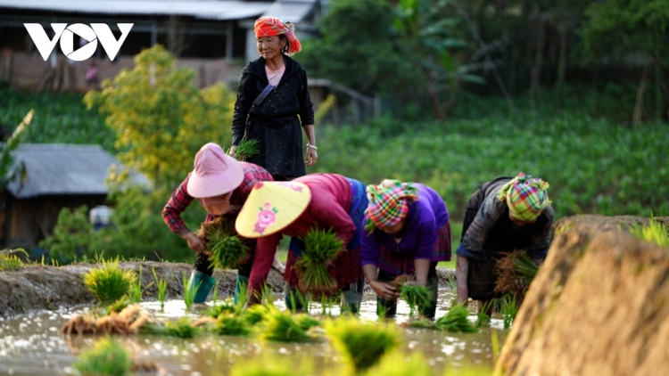 MÙ CANG CHẢI HÂN PA HOOI ĐÁC