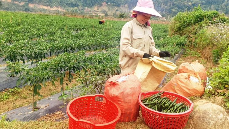 Ngon tô thứ  mự 25 bườn 6 pì 2024 – San luông pùn tảnh liệng báu hẳư kìn hăm công nghiệp