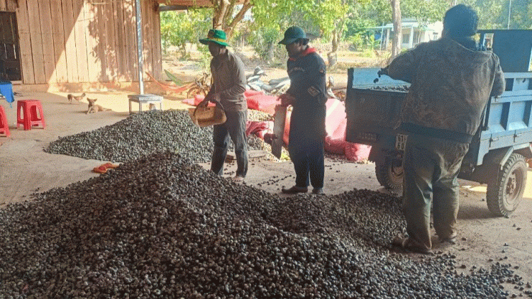 PA-AOK BLAIT BINH PHUOC, MAKHUT BINH DUONG KHAT LAHIK KAYUA LANGIK PANDIAK BHANG 