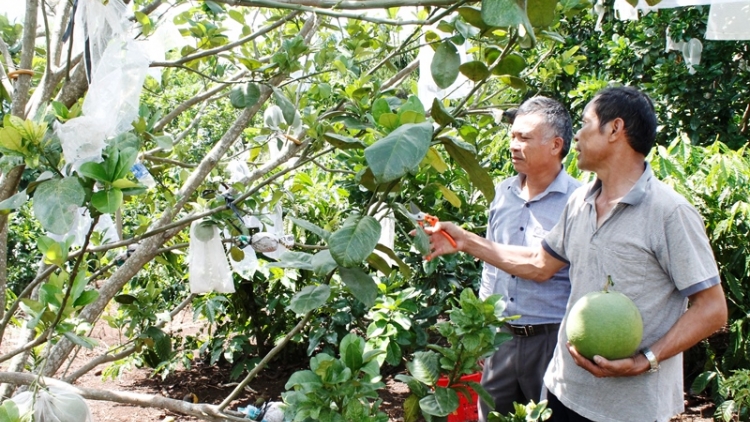 PATAGOK BRUK NGAK DI URANG ĐẢNG DALAM CAKROK KINH TE