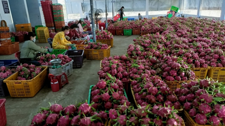 BINH THUAN NGAK HAGAIT PIAH CAKROK KHANG KAJAP PHUN THANH LONG?