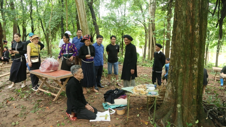 Lầy tzình  phát sinh ìu miền vả hoi 15.6.2024