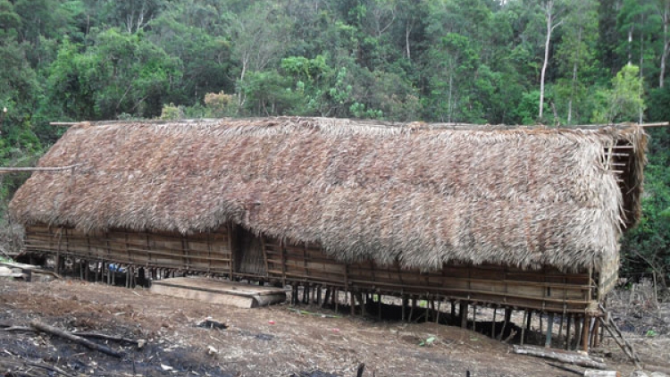 Kok Kech (Lời của thiên nhiên)