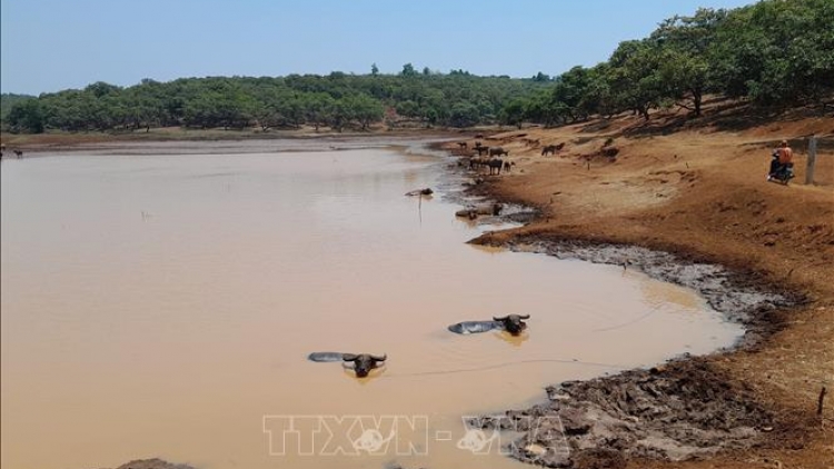PAY ĐƯƠI NHÂM MÂNG, PAY ĐOỌNG ĐÁC ĐƯƠI DUA ĐHỊ ZR’LỤ DA DING K’COONG, TA BHÚCH ĐÁC
