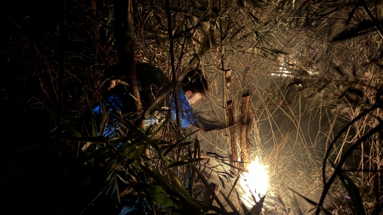 TU BHIỆC ROOH CRÂNG ĐHỊ BÌNH ĐỊNH BHRỢ BIL BAL MƠ 30 HÉC TA