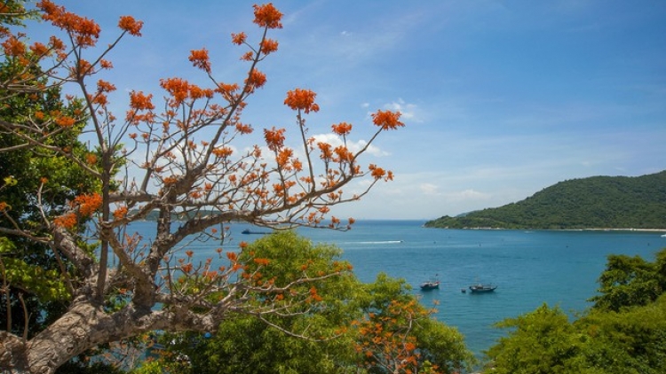 FESTIVAL “CÙ LAO CHÀM – BILAN NGÔ ĐỒNG BHONG”