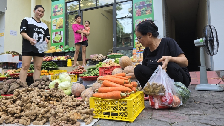 Ngon tô thứ 2 mự 15 căm bườn 7 pì 2024 – Tiện tô cắp lung Tong Văn Xôm, dú bản Mong, xã Hùa La, thanh phố Sơn La, tỉnh Sơn La ma tang khù muôn luông hòm khòng cán bộ dặng hiu chơ hươn mương khửn lường té mự 1.7.2024