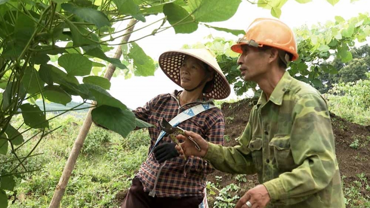 Cái diên phổng – choi dừa bón nhăng cặt cung khòng  bản mương khảm khói đảy cặt cung