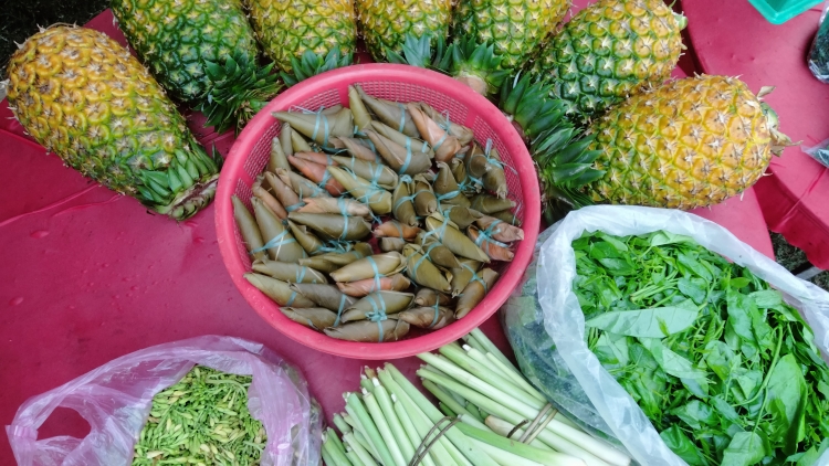 CHR’NẮP LIÊM CH’NA ĐH’NẮH K’COONG CH’NGAI NAM GIANG