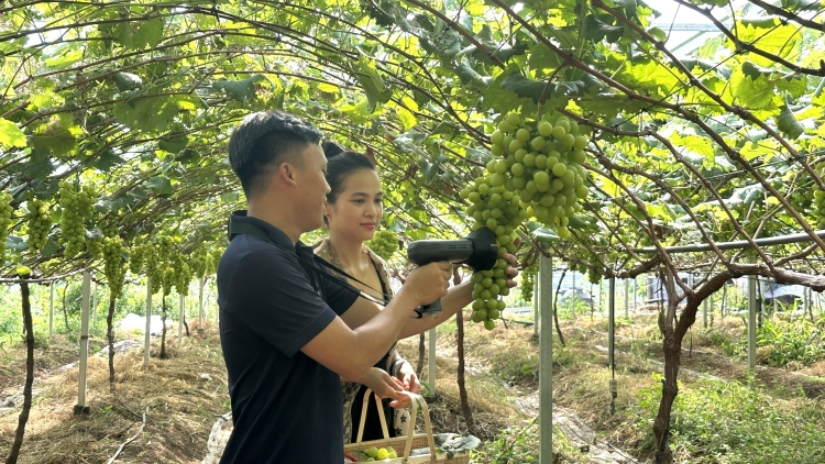 Pêt hdrê plâi hơmu mơngiơk drêh-troăng prôk ki nếo ăm kơpong tơnêi ti dâi Ƀuôn Đôn