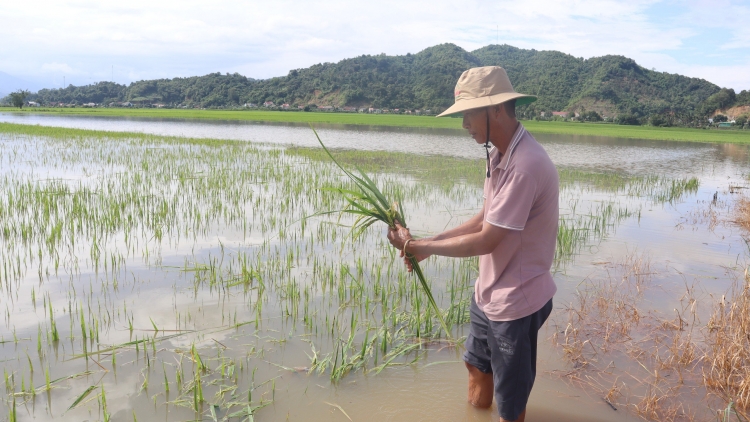 Hrĭng hectar báu mơni lŭp tâi xua kong mêi kân ton hâi