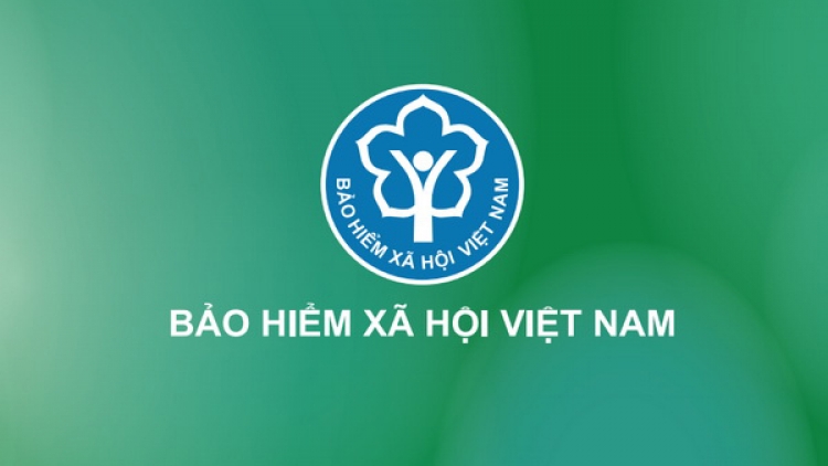 Xiàng búa tzấu duốn hẩu bảo hiểm mayz mài công tzấu ziêm hoi 15/2/2024 táo mình