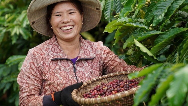 Tâm rgop kơl  hợp tác xã ndâk njêng ndơ moh ntoh lư 