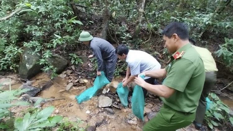 P’LOH 8 P’NONG A ĐHĂH A CHỊM CHÔ OOY CRÂNG
