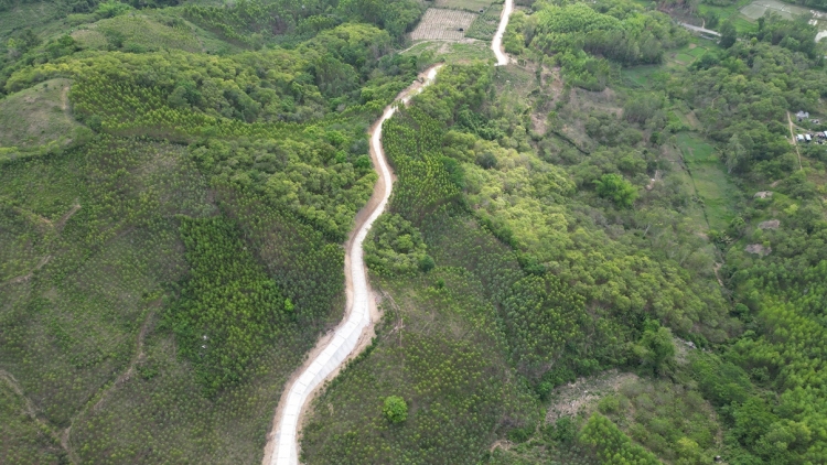 Bình Định pêi pro adrêng hnoăng cheăng xiâm dêi tơnêi têa tung mơdêk rêh kâ ối kuăn pơlê hdroâng kuăn ngo