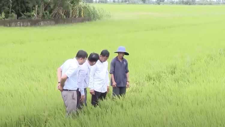 CUK AO BAHRAU KA HUYEN HU RILO URANG BANGSA TAKIK KAN KATHAOT DI CAN THO