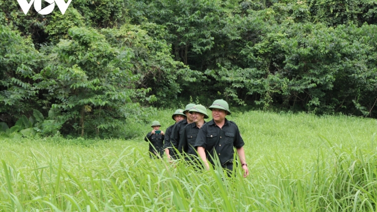 DÚ BÚNG CHƯỚNG CHỰC ĐÔNG MẠY