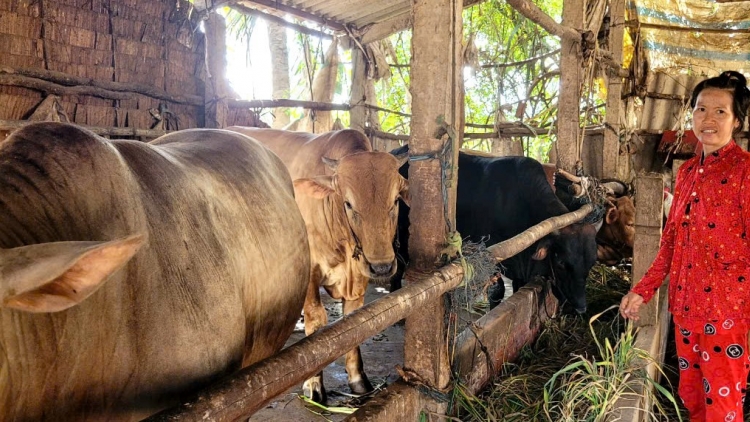 Uă cau lơh broă sa ròng kơnrồ tàm Bến Tre pal “lời gời wàng ròng” 