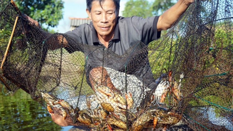 RAONG ARIENG TASIK LABA HU LABAIH 150 TRIEU ĐONG YAOK HA SA VU DI TRA VINH