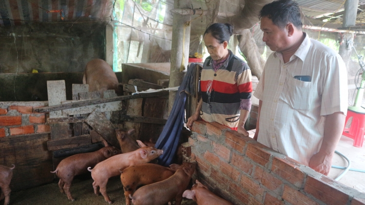 Sóc Trăng: Pơjing tơdrong ‘lơ̆ng ăn kon pơlei kon kông jang tŏk