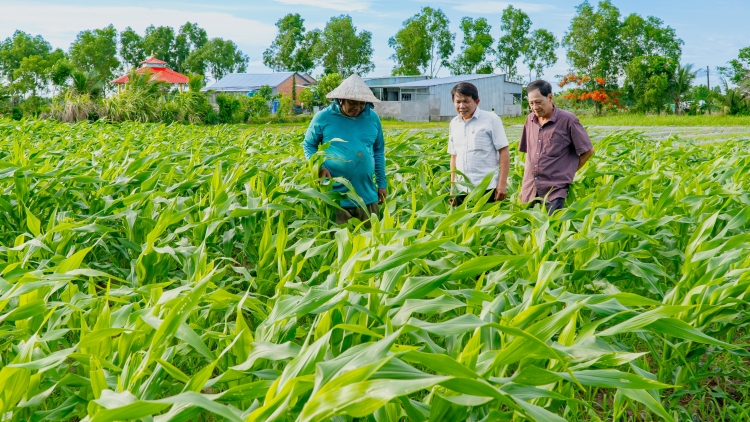 CA MAU PATAGOK HU SIAM PHUN JIEN PATRUN KATHAOT