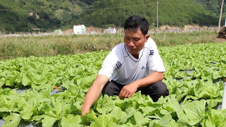 Đảng viên Ya Dũng, ngế kuăn nhoăm loi dêi pơlê Labouye A