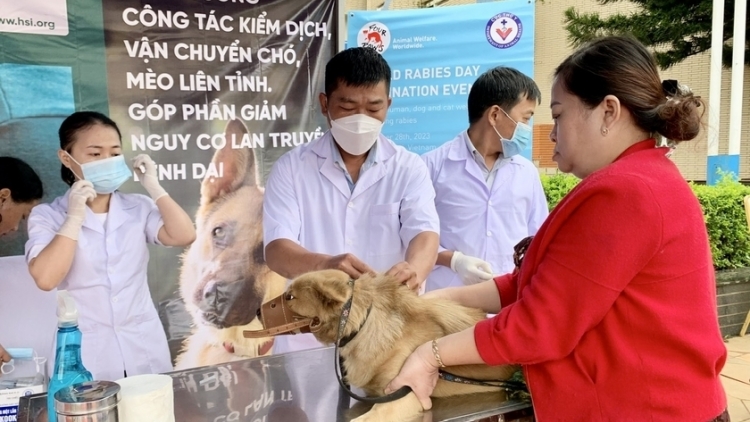 GIA LAI: A’CHOO DẠI CẮP, 1 CHA NẶC CHÊẾT, 11 CHA NẶC CRÊÊ BOỌ CR’AY TU CRÊÊ ẶT LƯM ĐĂN