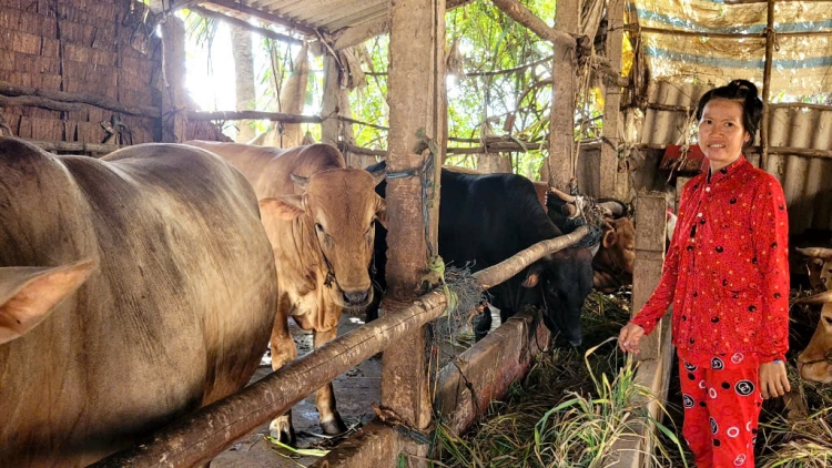 Âk rnăk ƀon lan rong ndrôk ta Bến Tre ntlơi dơm ndrung n’gar.