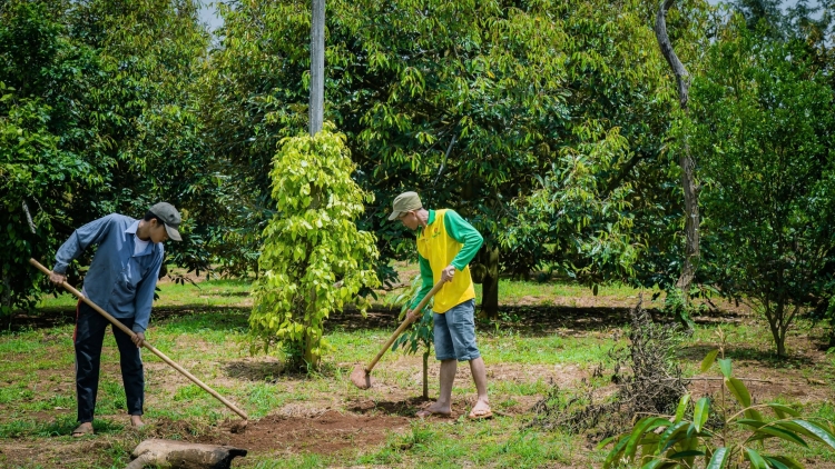 ĐHỊ ZA NƯƠR ĐOỌNG ĐHANUÔR BHRỢ CHA K’VAN