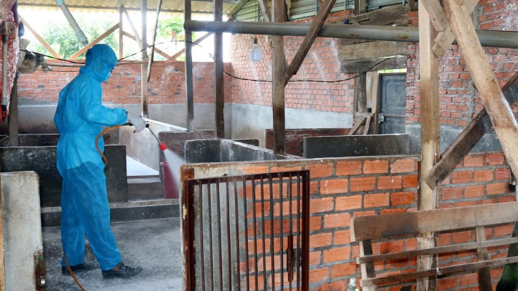 Đei ƀôh anih hơbuh pơrang jĭ klak chroh nhŭng châu Phi tơ̆ pơlei tơm Buôn Ma Thuột (Đắk Lắk) 