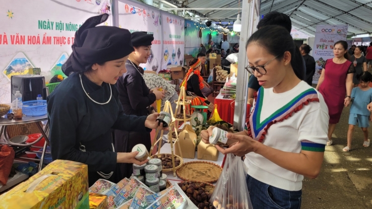 TƠỢP BHRỢ XA NAY BH’RỢ “DU LỊCH Z’LÂH PAZÊNG C’KIR VIỆT BẮC” G’LUH XV