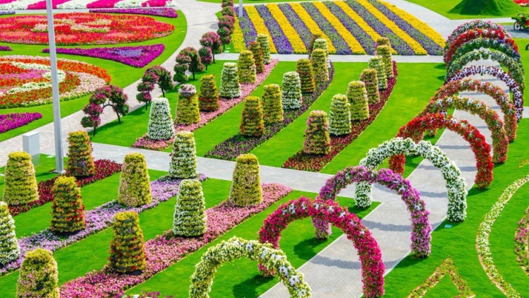 Danak dak sap Cam 17-08-2024