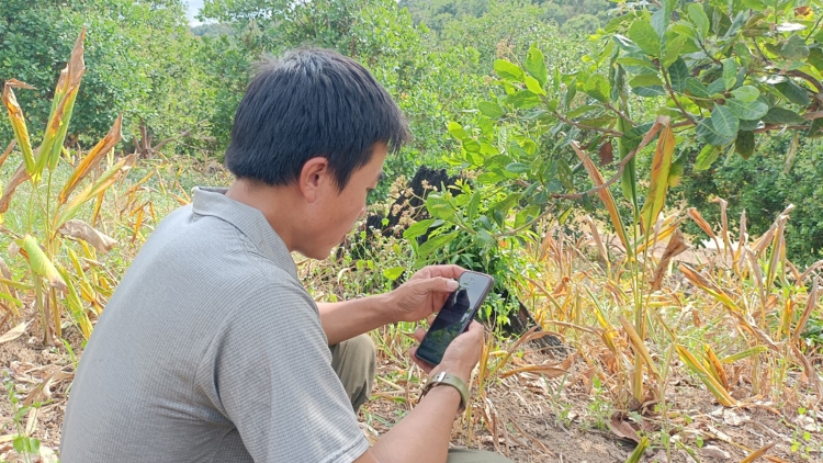 Chồl tơngguh tam gơl sồ tàm broă lơh sa sươn sre mờ ƀòn lơgar tàm càr Kon Tum  