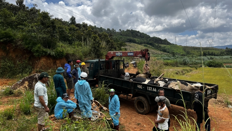 Ndâk nau kan kơl an trok tâm ân nau khuch khĭt ndrôk sŏk dak toh