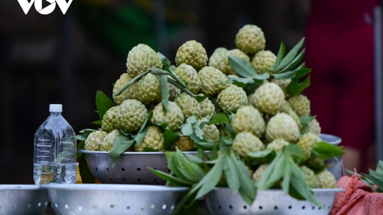 XẠ CHI LĂNG: TẲNG CÓ BẢN CỎN MẤƯ TỨ CHAY CO MÁC NA