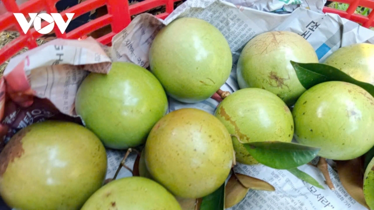 ពត៌មាន ម៉ោង ១៥