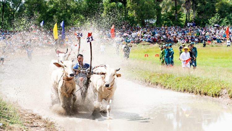 An Giang - Phát huy giá trị thể thao truyền thống dân tộc