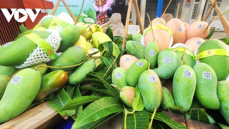 ពត៌មាន ម៉ោង​ ៦