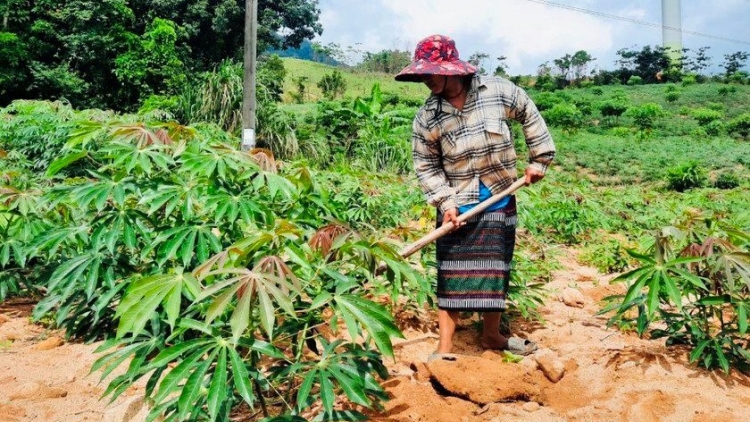 Đảm bảo đất ở, đất sản xuất cho đồng bào dân tộc thiểu số