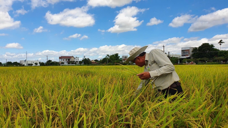 ពត៌មាន​ម៉ោង៦