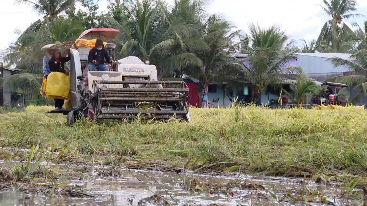 ពត៌មាន ម៉ោង ១៥