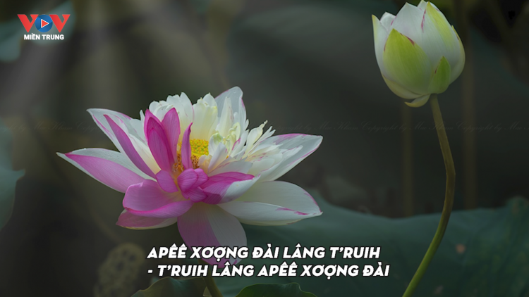 APÊÊ XƠỢNG ĐÀI LÂNG T’RUIH- T’RUIH LÂNG APÊÊ XƠỢNG ĐÀI (Hơnh déh 79 c'moo bhrợ t'vaih Đài P'rá Việt Nam)