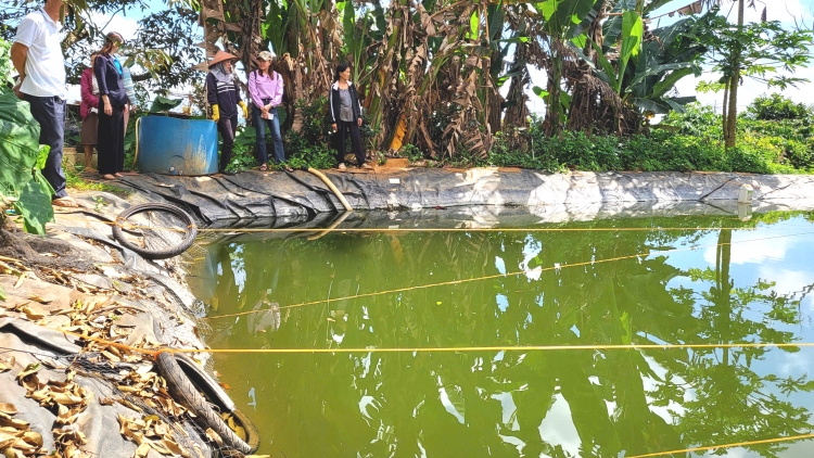 Bi hrŏ klei truh, klei êka êkeh ti phung hđeh hlăm kdriêk Di Linh, čar Lâm Đồng
